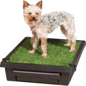 PetSafe Pet Loo Portable Outdoor or Indoor Dog Potty - Dog Grass Pad with Tray - Alternative to Puppy Pads - Easy to Clean Dog Potty Grass,