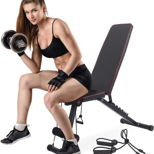Dpforest Adjustable Weight Bench, Folding Dumbbells Bench Press with Multi-Position and Resistance Bands, Utility Fitness Bench Full Body Wo