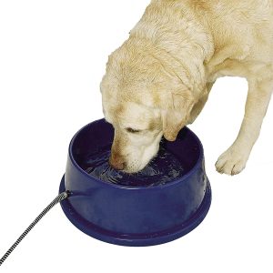 Pet Products Thermal-Bowl Heated Cat & Dog Bowl